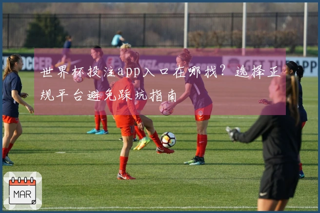 世界杯投注app入口在哪找？选择正规平台避免踩坑指南