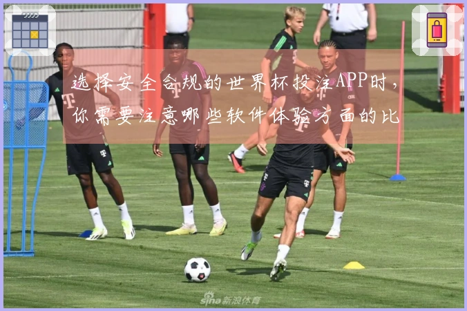 选择安全合规的世界杯投注APP时，你需要注意哪些软件体验方面的比较？