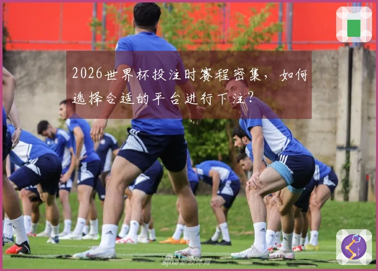 2026世界杯投注时赛程密集，如何选择合适的平台进行下注？