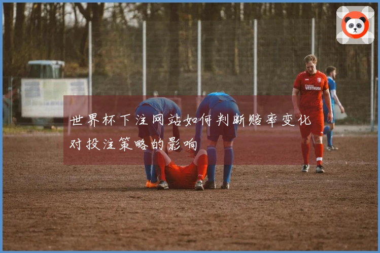 世界杯下注网站如何判断赔率变化对投注策略的影响