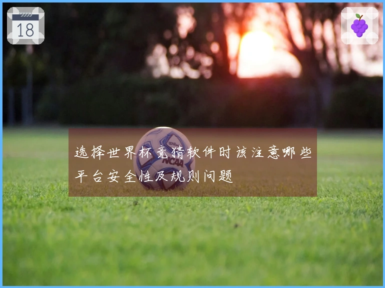 选择世界杯竞猜软件时该注意哪些平台安全性及规则问题
