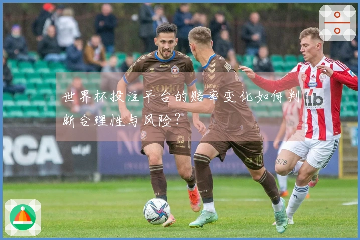 世界杯投注平台的赔率变化如何判断合理性与风险？