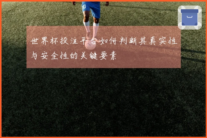 世界杯投注平台如何判断其真实性与安全性的关键要素