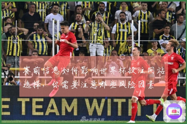 赛前信息如何影响世界杯投注网站选择，你需要注意哪些风险因素
