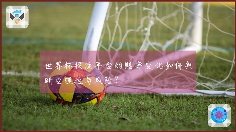 世界杯投注平台的赔率变化如何判断合理性与风险？