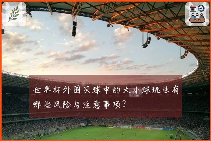 世界杯外围买球中的大小球玩法有哪些风险与注意事项？