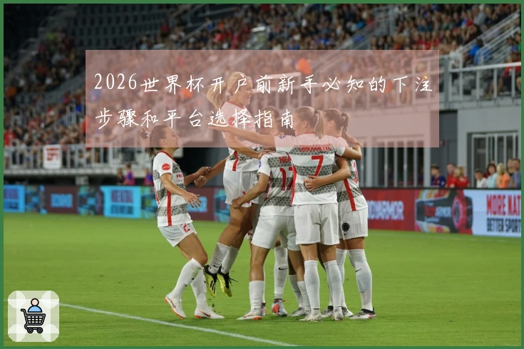 2026世界杯开户前新手必知的下注步骤和平台选择指南