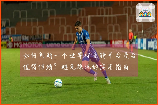 如何判断一个世界杯竞猜平台是否值得信赖？避免踩坑的实用指南