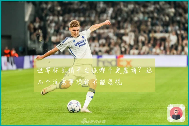 世界杯竞猜平台选哪个更靠谱？这几个注意事项你不能忽视