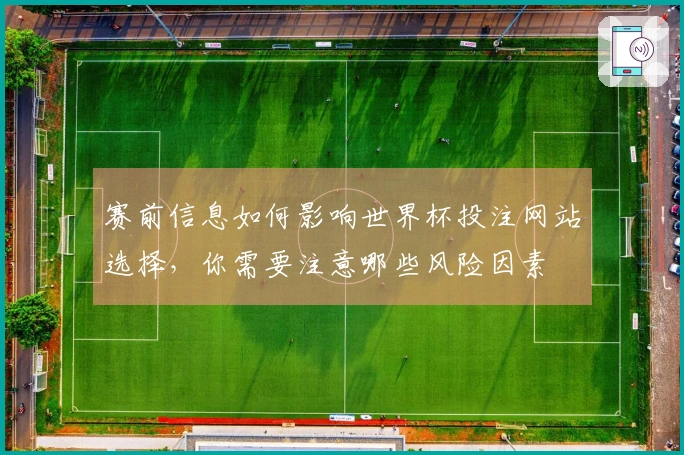 赛前信息如何影响世界杯投注网站选择，你需要注意哪些风险因素