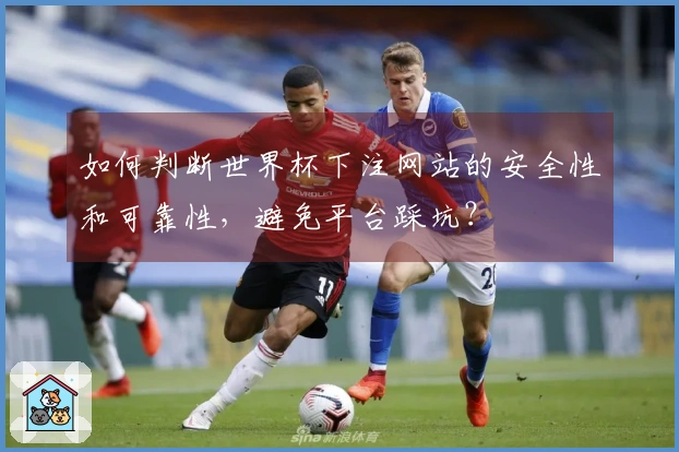 如何判断世界杯下注网站的安全性和可靠性，避免平台踩坑？