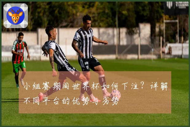 小组赛期间世界杯如何下注？详解不同平台的优势与劣势