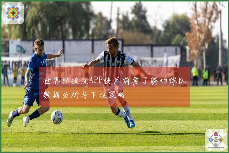 世界杯投注APP使用前要了解的球队数据分析与下注策略