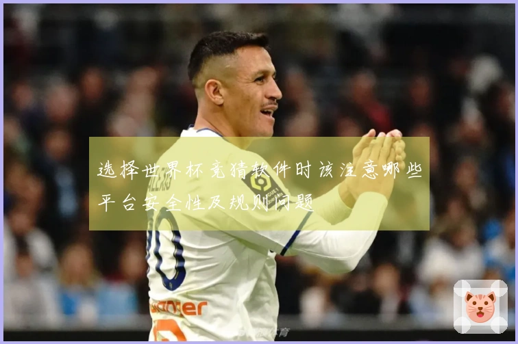 选择世界杯竞猜软件时该注意哪些平台安全性及规则问题