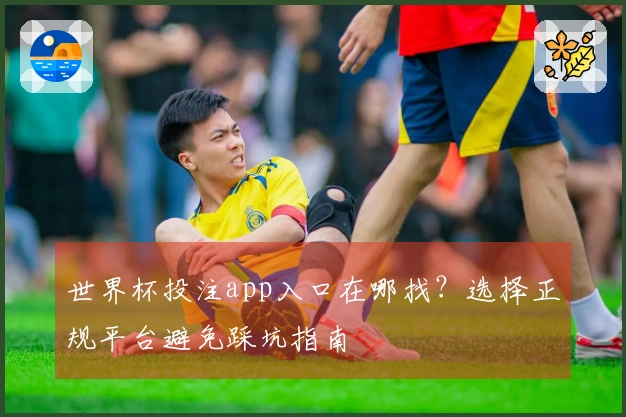世界杯投注app入口在哪找？选择正规平台避免踩坑指南