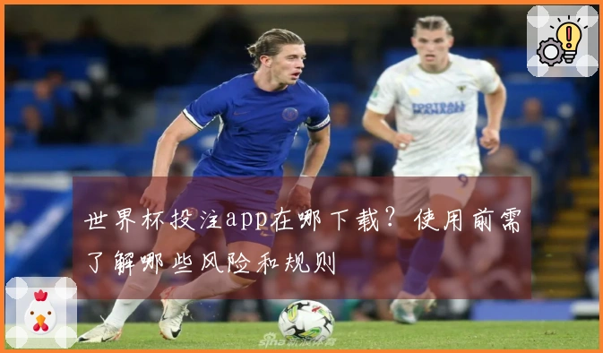 世界杯投注app在哪下载？使用前需了解哪些风险和规则