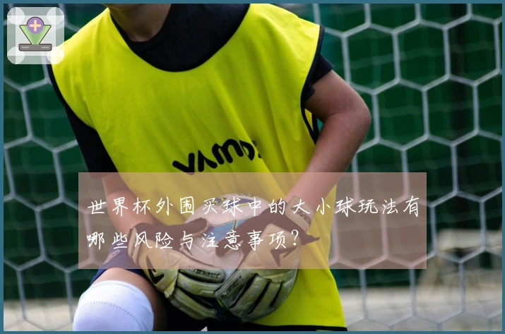 世界杯外围买球中的大小球玩法有哪些风险与注意事项？