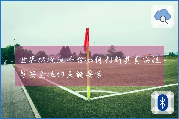 世界杯投注平台如何判断其真实性与安全性的关键要素