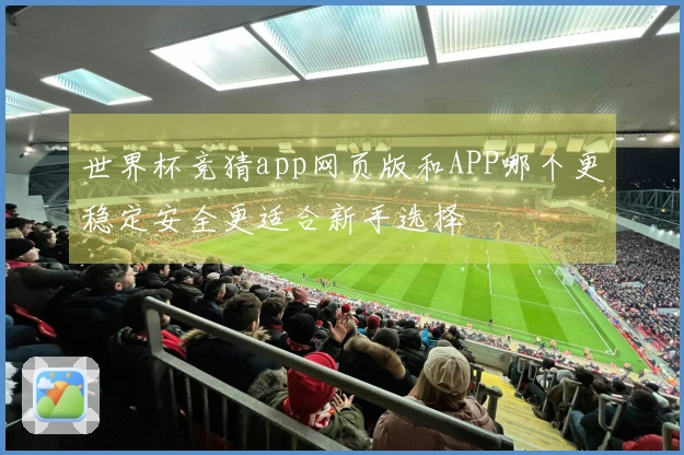 世界杯竞猜app网页版和APP哪个更稳定安全更适合新手选择