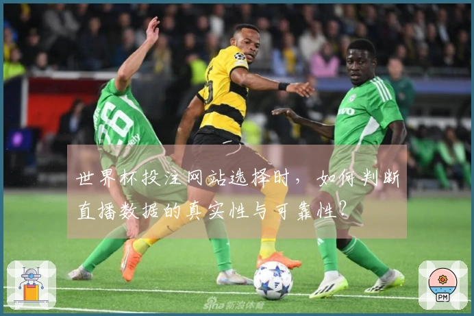 世界杯投注网站选择时，如何判断直播数据的真实性与可靠性？