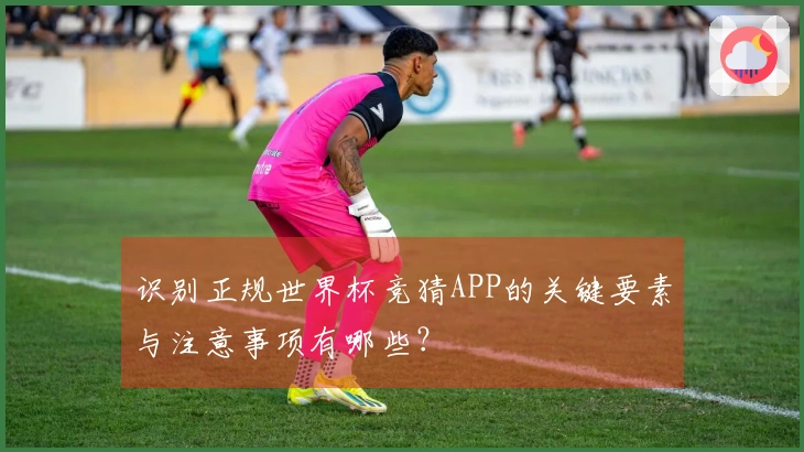 识别正规世界杯竞猜APP的关键要素与注意事项有哪些？